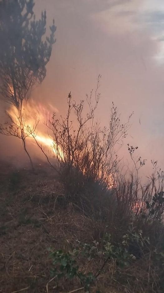 SIGUEN LOS INCENDIOS FORESTALES, SIN QUE HAYA COLABORACIÓN CIUDADANA EN LOS DIFERENTES SECTORES.-