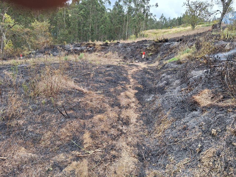 NO FRENAN LOS INCENDIOS FORESTALES EN EL AUSTRO