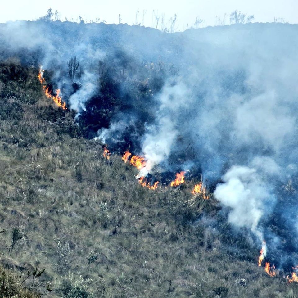 INCENDIO FORESTAL EN PARQUE NACIONAL EL CAJAS.-